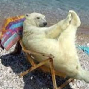 Meet your Posher, Laila